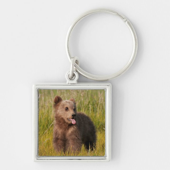 Getty Images | Funny Baby Bear Key Ring (Front)