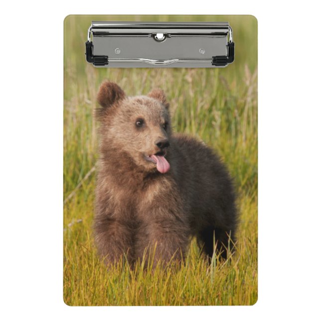 Getty Images | Funny Baby Bear Mini Clipboard (Front)