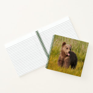 Getty Images Funny Baby Bear Notebook