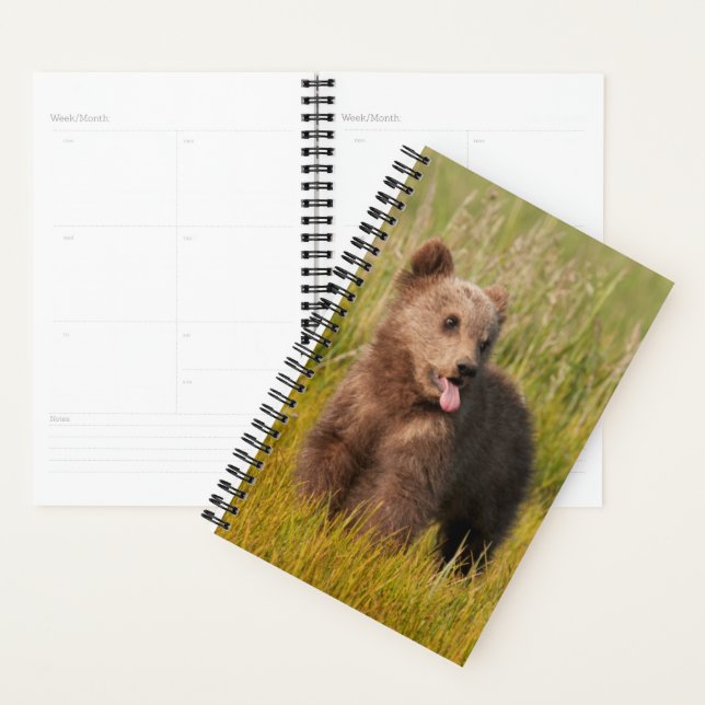 Getty Images | Funny Baby Bear Planner (Display)