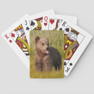 Getty Images Funny Baby Bear Playing Cards