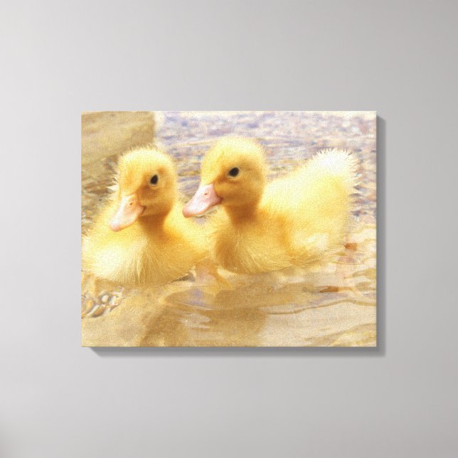Getty Images | Fuzzy Yellow Ducklings Canvas Print (Front)