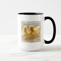 Getty Images | Fuzzy Yellow Ducklings
