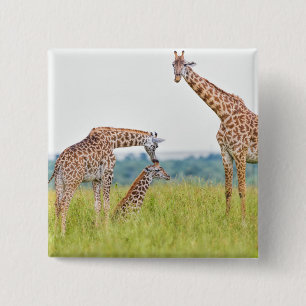 Getty Images Giraffe Family 15 Cm Square Badge