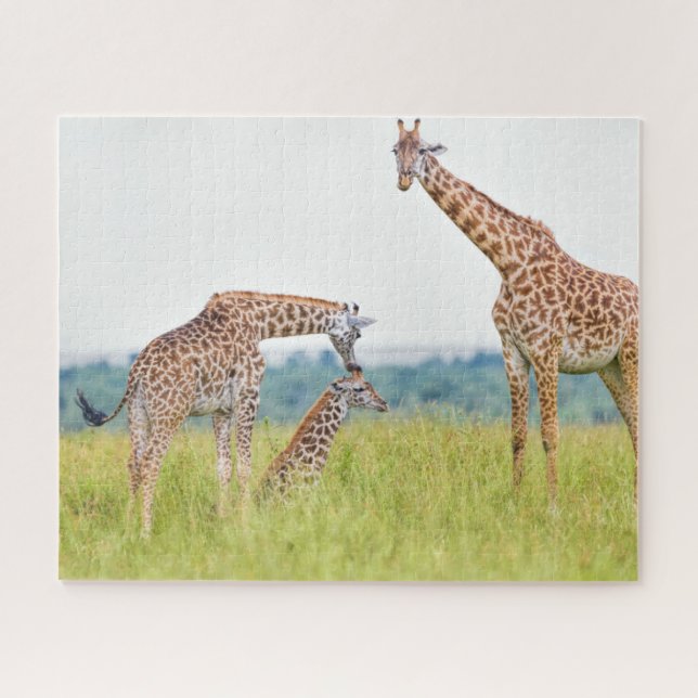 Getty Images | Giraffe Family Jigsaw Puzzle (Horizontal)