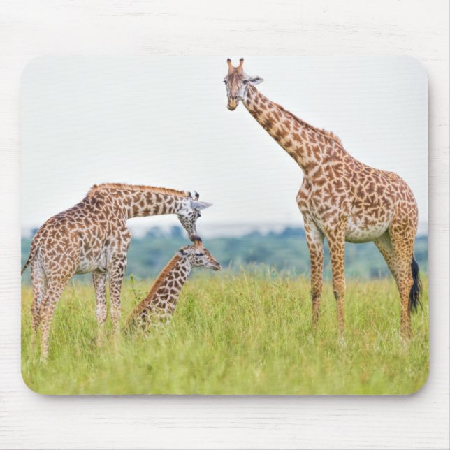 Getty Images | Giraffe Family Mouse Mat (Front)