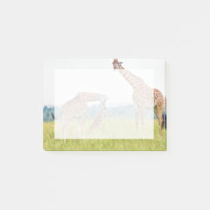 Getty Images Giraffe Family Post-it Notes