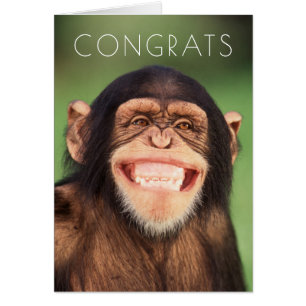 Getty Images   Grinning Chimpanzee