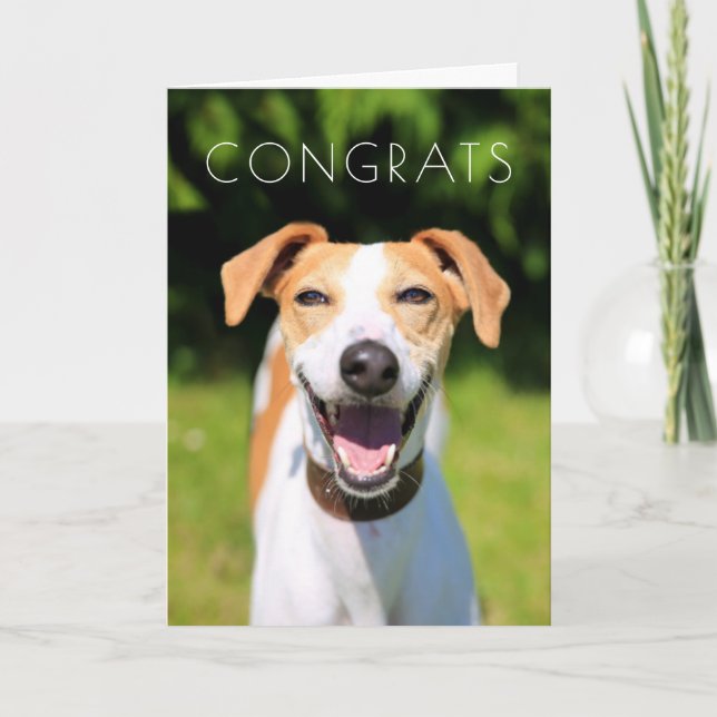 Getty Images | Laughing Dog Card (Front)