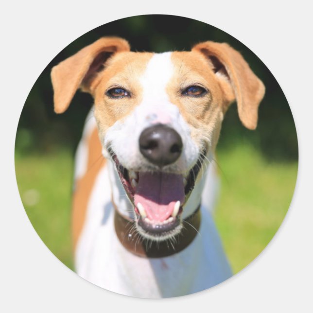 Getty Images | Laughing Dog Classic Round Sticker (Front)