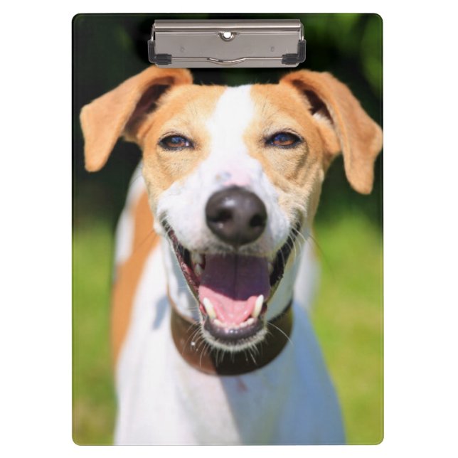 Getty Images | Laughing Dog Clipboard (Front)