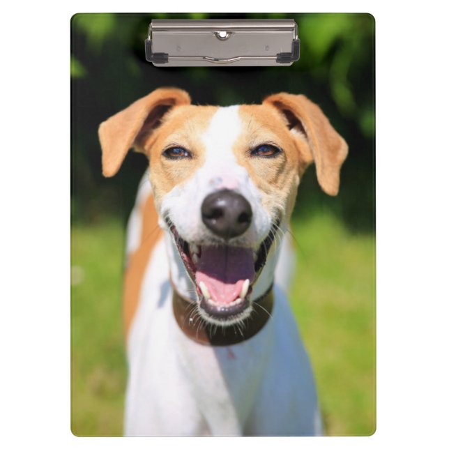 Getty Images | Laughing Dog Clipboard (Front)