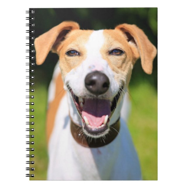 Getty Images | Laughing Dog Notebook (Front)
