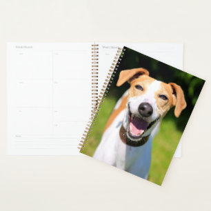 Getty Images   Laughing Dog Planner