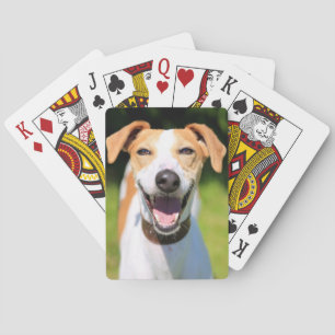 Getty Images Laughing Dog Playing Cards