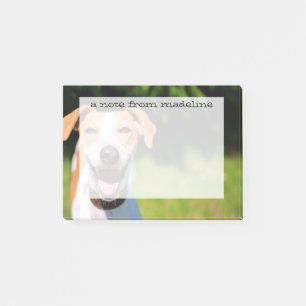 Getty Images   Laughing Dog Post-it Notes