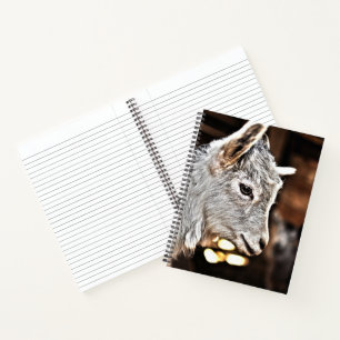Getty Images   Little Goat Notebook