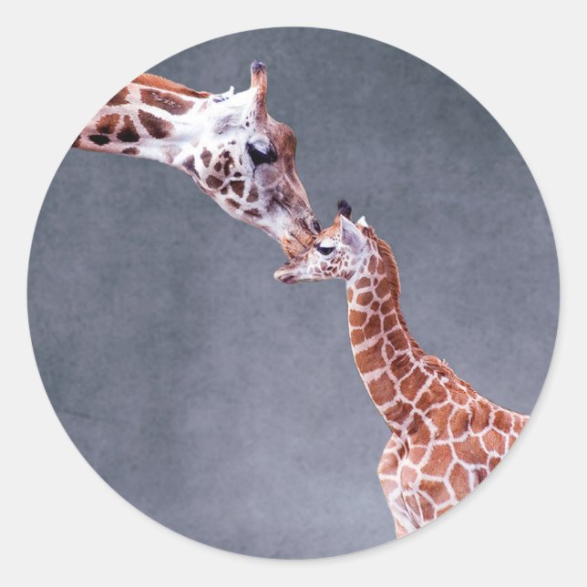 Getty Images | Mother & Baby Giraffe Classic Round Sticker (Front)