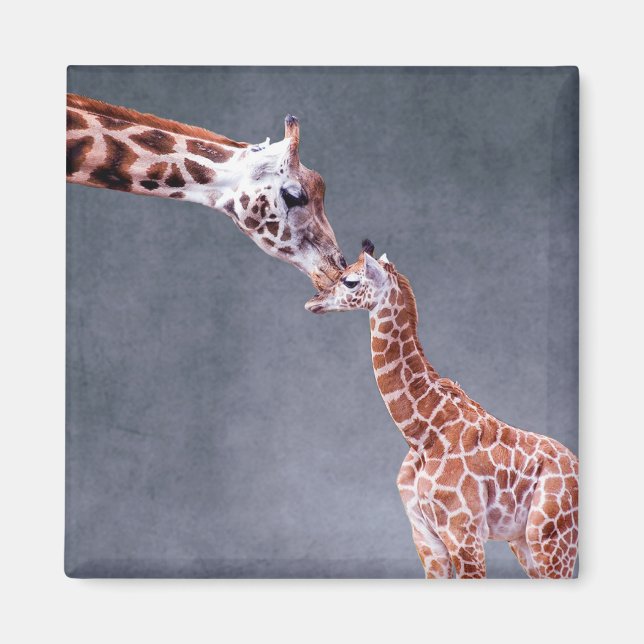 Getty Images | Mother & Baby Giraffe Magnet (Front)