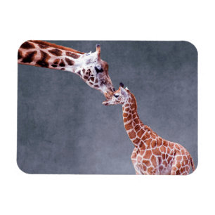 Getty Images Mother & Baby Giraffe Magnet