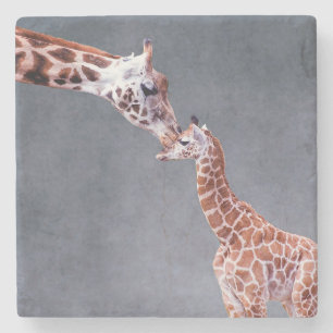 Getty Images Mother & Baby Giraffe Stone Coaster