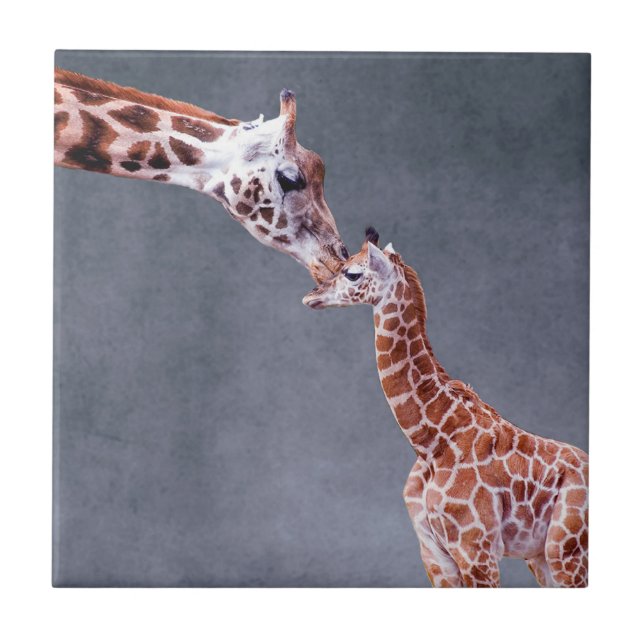 Getty Images | Mother & Baby Giraffe Tile (Front)