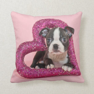 Getty Images   Puppy Love Cushion