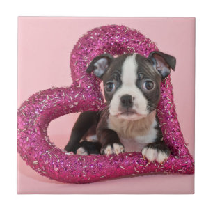 Getty Images Puppy Love Tile