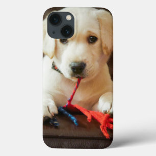 Getty Images Puppy On A Sofa iPhone 13 Case
