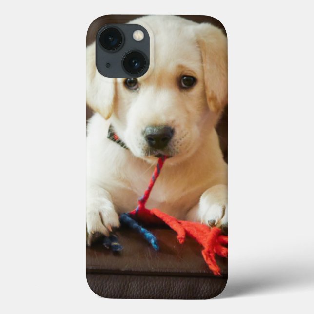 Getty Images | Puppy On A Sofa Case-Mate iPhone Case (Back)