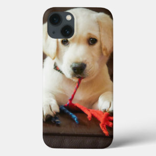 Getty Images   Puppy On A Sofa iPhone 13 Case