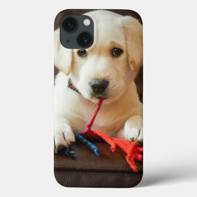 Getty Images | Puppy On A Sofa Case-Mate iPhone Case (Back)