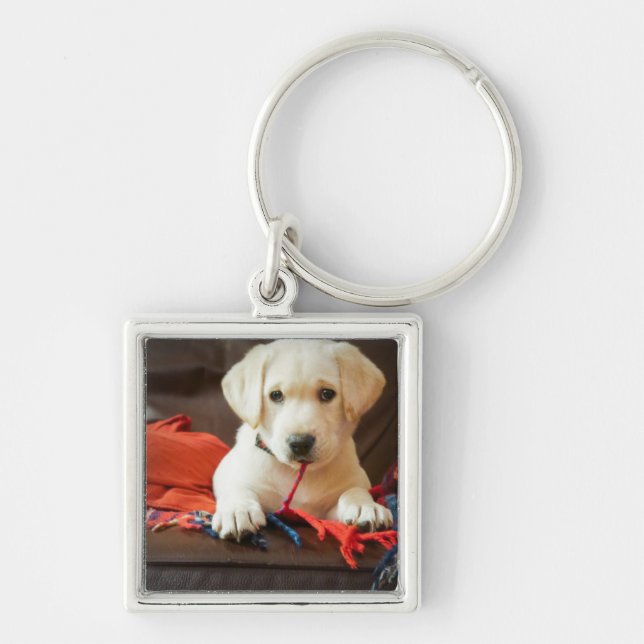 Getty Images | Puppy On A Sofa Key Ring (Front)