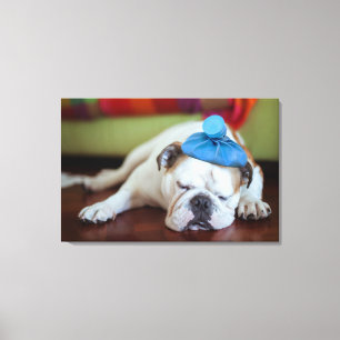 Getty Images   Sick Young Puppy Canvas Print