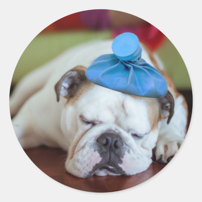 Getty Images | Sick Young Puppy Classic Round Sticker (Front)