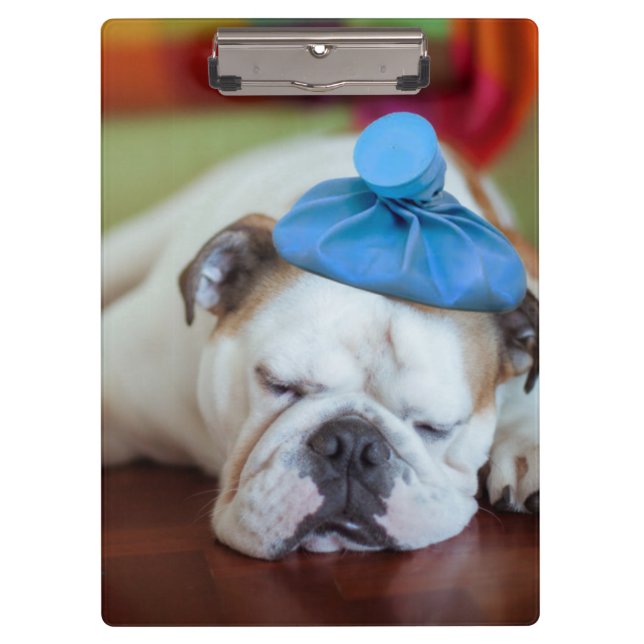 Getty Images | Sick Young Puppy Clipboard (Front)