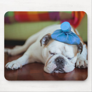 Getty Images   Sick Young Puppy Mouse Mat