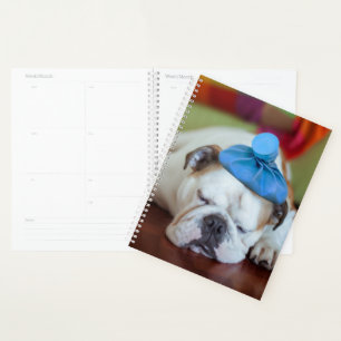 Getty Images Sick Young Puppy Planner