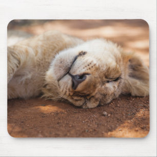 Getty Images   Sleeping Lion Cub Mouse Mat