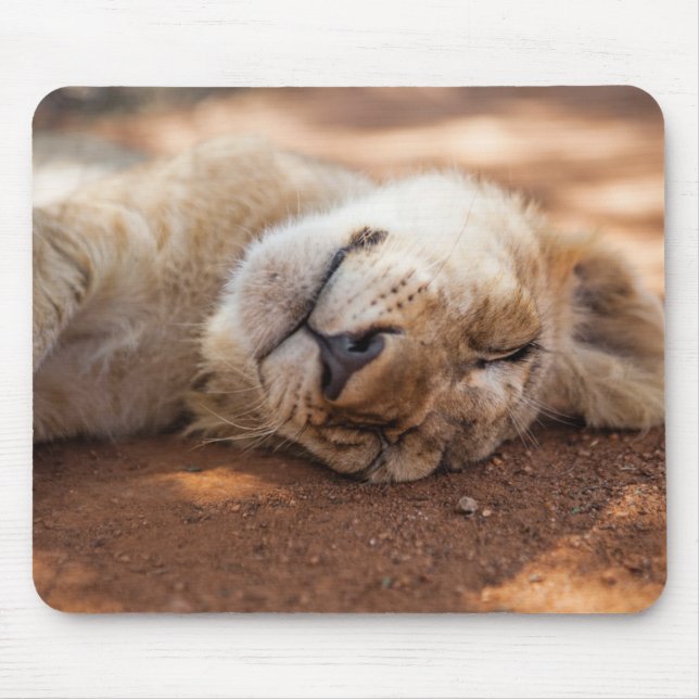 Getty Images | Sleeping Lion Cub Mouse Mat (Front)