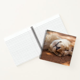 Getty Images Sleeping Lion Cub Notebook