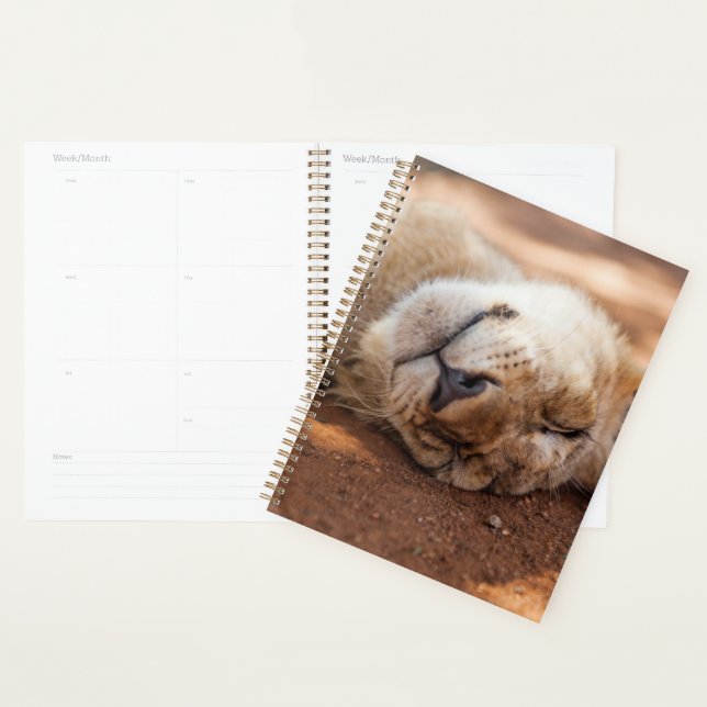 Getty Images | Sleeping Lion Cub Planner (Display)
