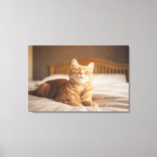 Getty Images   Sleepy Cat Canvas Print