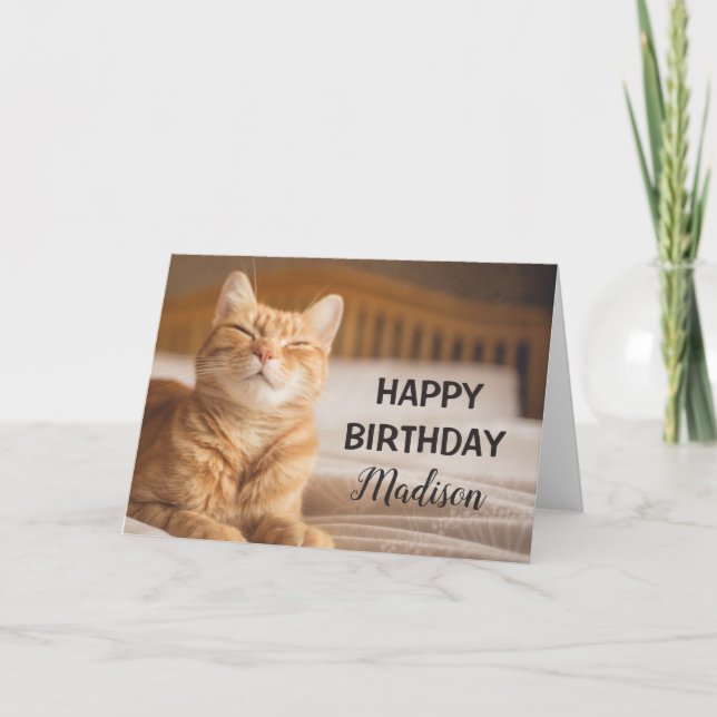 Getty Images | Sleepy Cat Card (Front)
