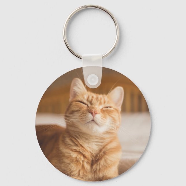 Getty Images | Sleepy Cat Key Ring (Front)