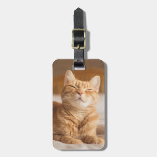 Getty Images   Sleepy Cat Luggage Tag