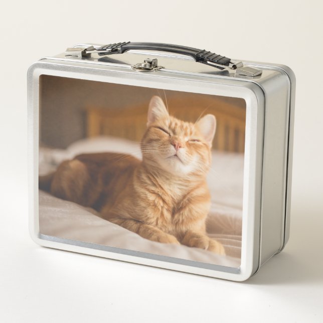 Getty Images | Sleepy Cat Metal Lunch Box (Front)