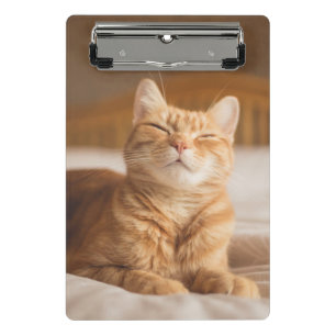 Getty Images Sleepy Cat Mini Clipboard