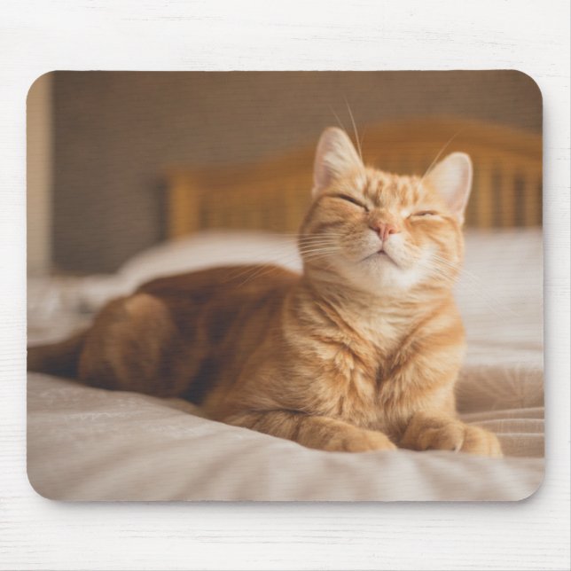 Getty Images | Sleepy Cat Mouse Mat (Front)