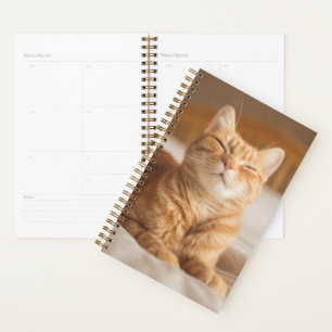 Getty Images Sleepy Cat Planner